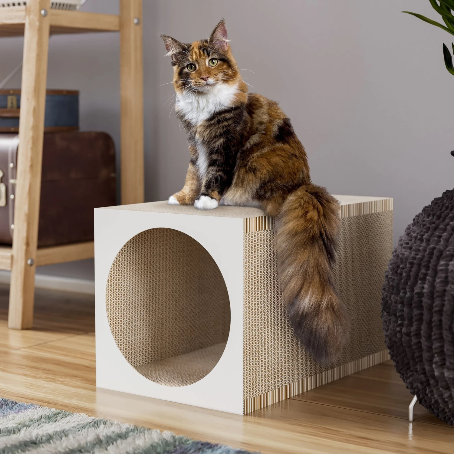 Way Basics Premium Tunnel Cat Scratcher, Medium 5 Way Basics Premium Tunnel Cat Scratcher, Medium - Image 3