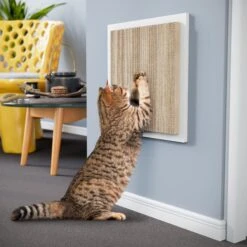 Way Basics Square Wall Cat Scratcher, Medium -Trixie || Catit || Nature's Miracle Shop 697254 PT2. AC SS1800 V1667948185