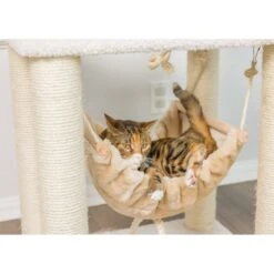 Armarkat 73-in Faux Fleece Cat Tree & Condo 14 Armarkat 73-in Faux Fleece Cat Tree & Condo -Trixie || Catit || Nature's Miracle Shop 70208 PT4. AC SS1800 V1582739498