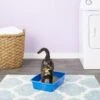 Van Ness Cat Litter Pan, Blue -Trixie || Catit || Nature's Miracle Shop 70438 MAIN. AC SS1800 V1565284453