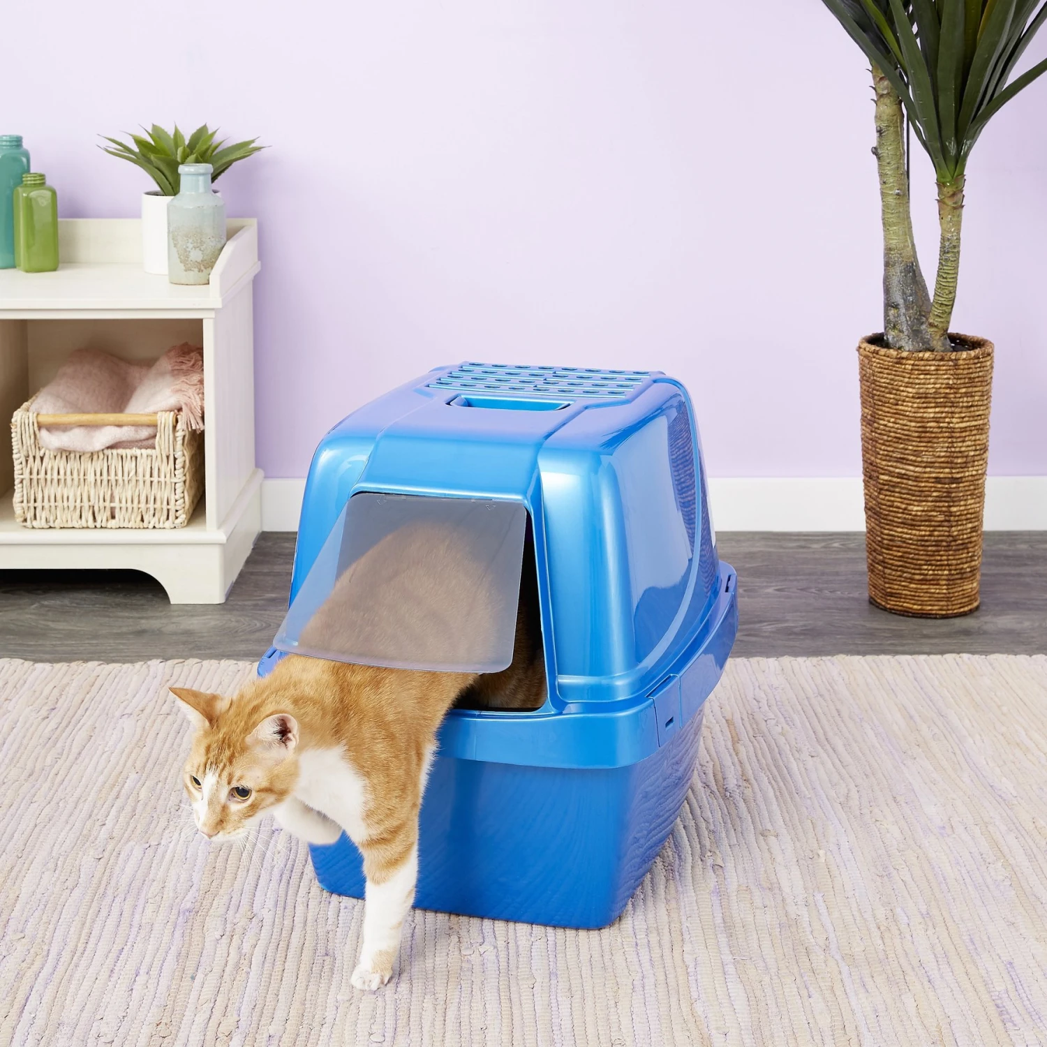 Van Ness Enclosed Sifting Cat Litter Pan 3 Van Ness Enclosed Sifting Cat Litter Pan