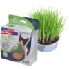 Van Ness Oat Garden Kit 2 Van Ness Oat Garden Kit -Trixie || Catit || Nature's Miracle Shop 70481 MAIN. AC SS1800 V1536158008