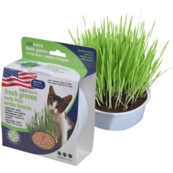 Van Ness Oat Garden Kit