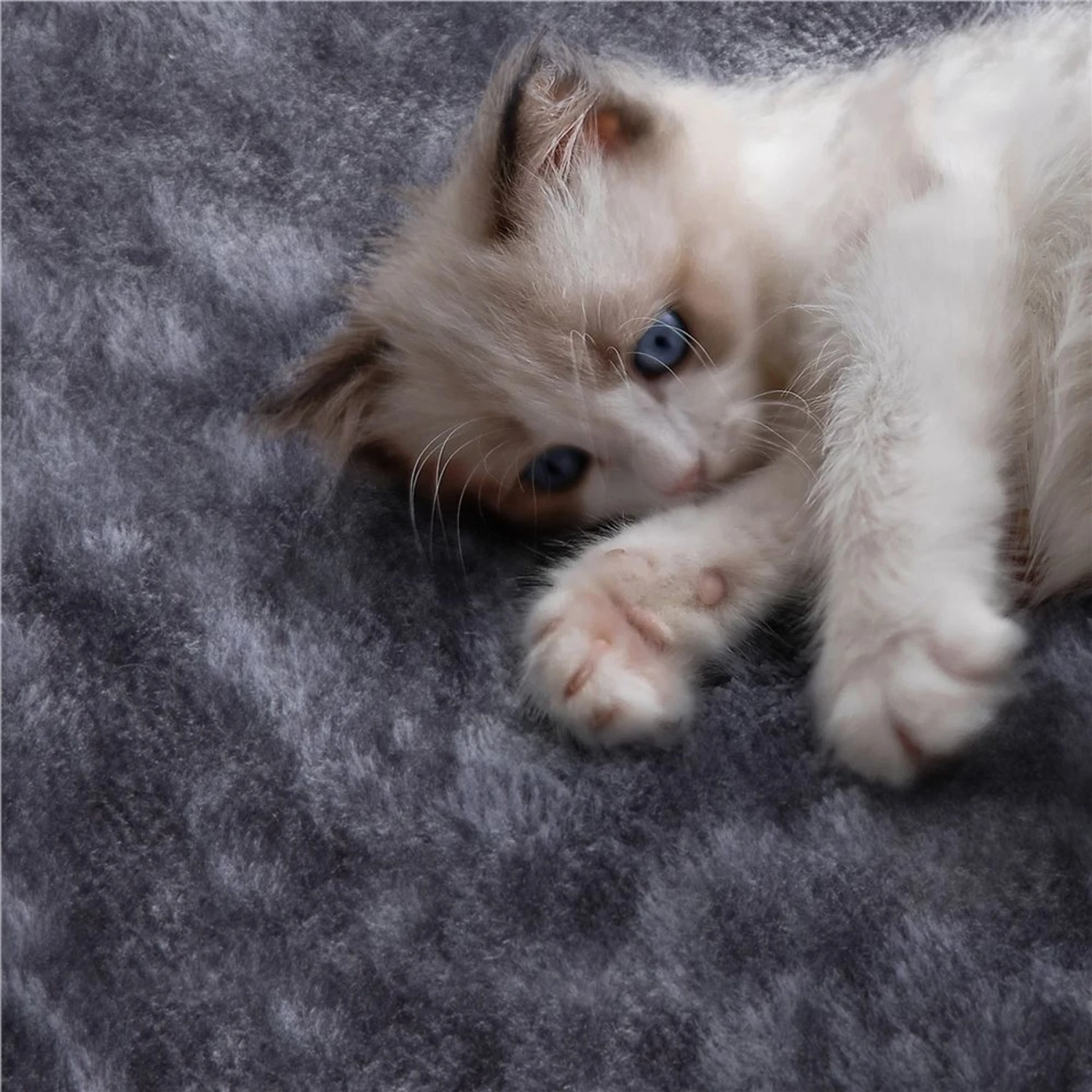 Yaheetech 3-Level Plush Cat Tree, Dark Gray, Medium 6 Yaheetech 3-Level Plush Cat Tree, Dark Gray, Medium - Image 4