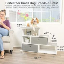 PetFusion Hybrid Cat Bookshelf & 3 Perches, White -Trixie || Catit || Nature's Miracle Shop 710246 PT5. AC SS1800 V1671724586