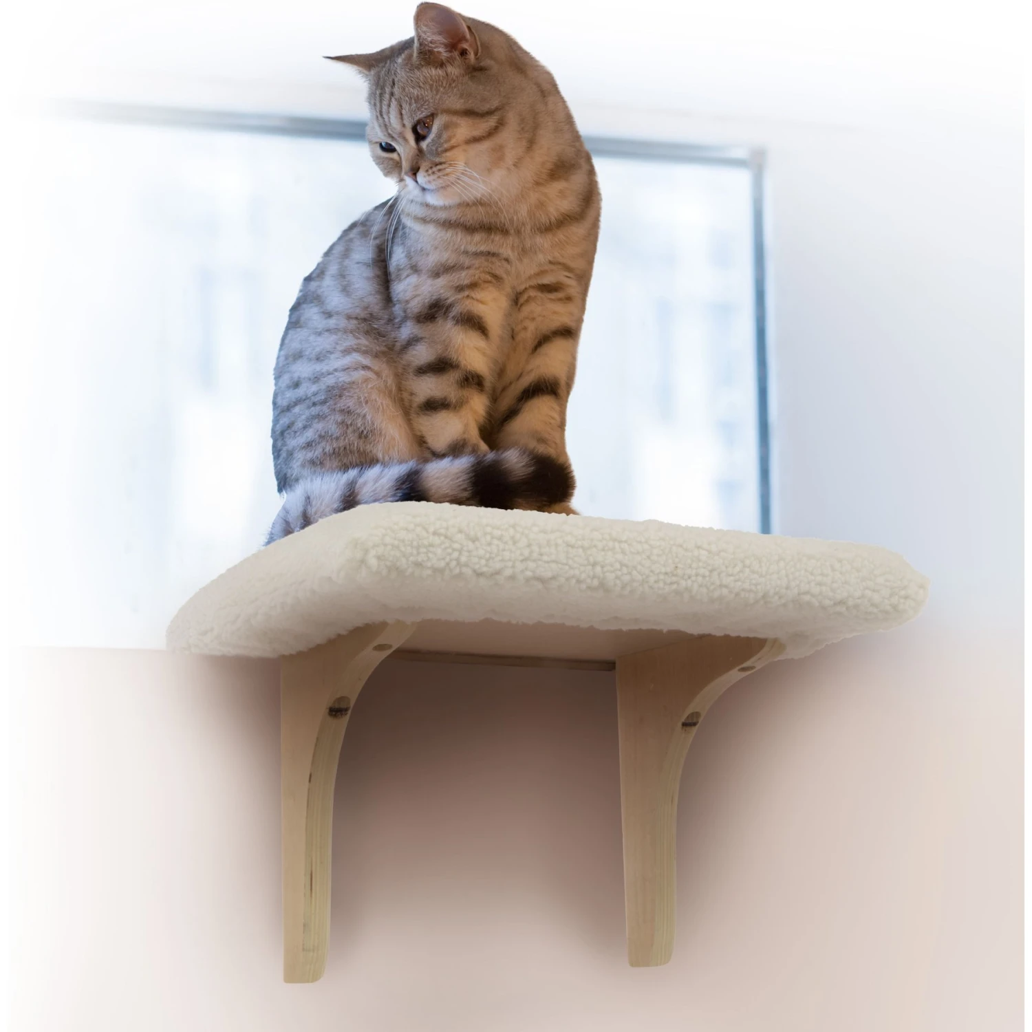 Petlinks SmartyKat Paw Perch Padded Indoor Cat Window Perch 6 Petlinks SmartyKat Paw Perch Padded Indoor Cat Window Perch - Image 4
