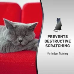 Nature's Miracle Advanced Platinum Cat Scratch Deterrent Spray, 8-oz Bottle -Trixie || Catit || Nature's Miracle Shop 716582 PT6. AC SS1800 V1701115782