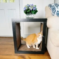 Designer Pet Products Bailey Cat Scratcher End Table -Trixie || Catit || Nature's Miracle Shop 722862 PT4. AC SS1800 V1671037947
