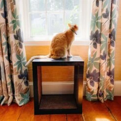 Designer Pet Products Bailey Cat Scratcher End Table -Trixie || Catit || Nature's Miracle Shop 722862 PT5. AC SS1800 V1671037944