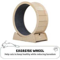 Coziwow Exercise Wheel With Lock & Teaser Cat Treadmill -Trixie || Catit || Nature's Miracle Shop 731054 PT3. AC SS1800 V1686337888