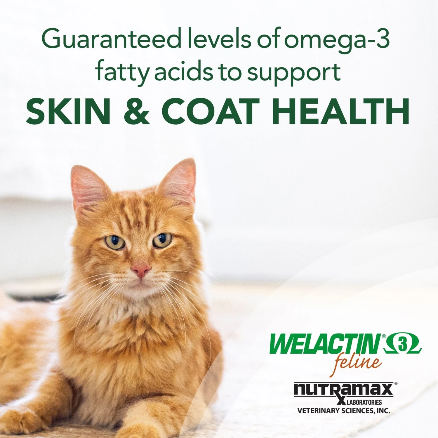 Nutramax Welactin Omega-3 Fish Oil Liquid Skin & Coat Supplement For Cats, 4-oz 6 Nutramax Welactin Omega-3 Fish Oil Liquid Skin & Coat Supplement For Cats, 4-oz - Image 4