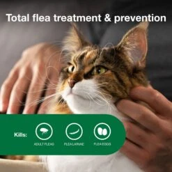 Advantage II Flea Spot Treatment For Cats, Over 9 Lbs 14 Advantage II Flea Spot Treatment For Cats, Over 9 Lbs -Trixie || Catit || Nature's Miracle Shop 73927 PT3. AC SS1800 V1680893001