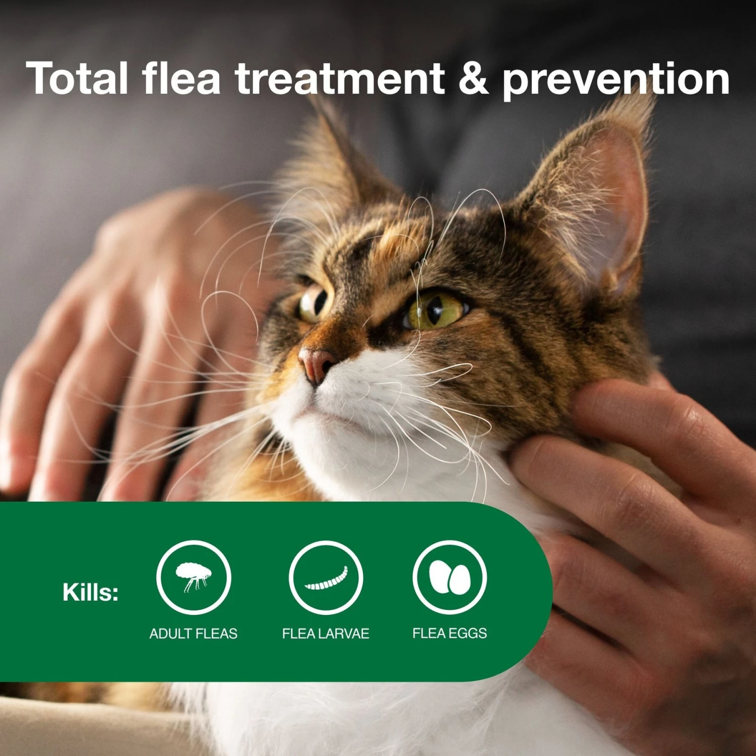Advantage II Flea Spot Treatment For Cats, Over 9 Lbs 6 Advantage II Flea Spot Treatment For Cats, Over 9 Lbs - Image 4