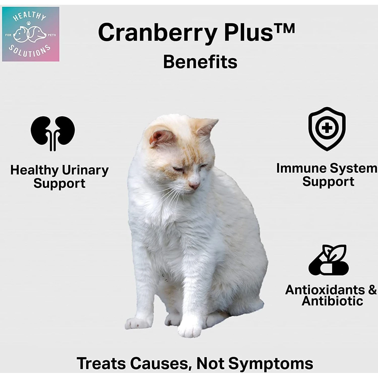 Healthy Solutions For Pets Cranberry Urinary & Kidney Supplement For Cats, 60 Count 5 Healthy Solutions For Pets Cranberry Urinary & Kidney Supplement For Cats, 60 Count - Image 3