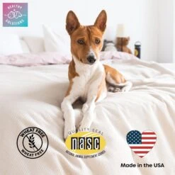 Healthy Solutions For Pets Cat Hairball Control Supplement With Pumpkin Fiber, 90 Count -Trixie || Catit || Nature's Miracle Shop 743462 PT3. AC SS1800 V1674574165