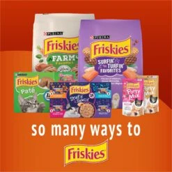 Friskies Playfuls With Chicken & Liver Flavor Cat Treats -Trixie || Catit || Nature's Miracle Shop 744462 PT5. AC SS1800 V1700160332