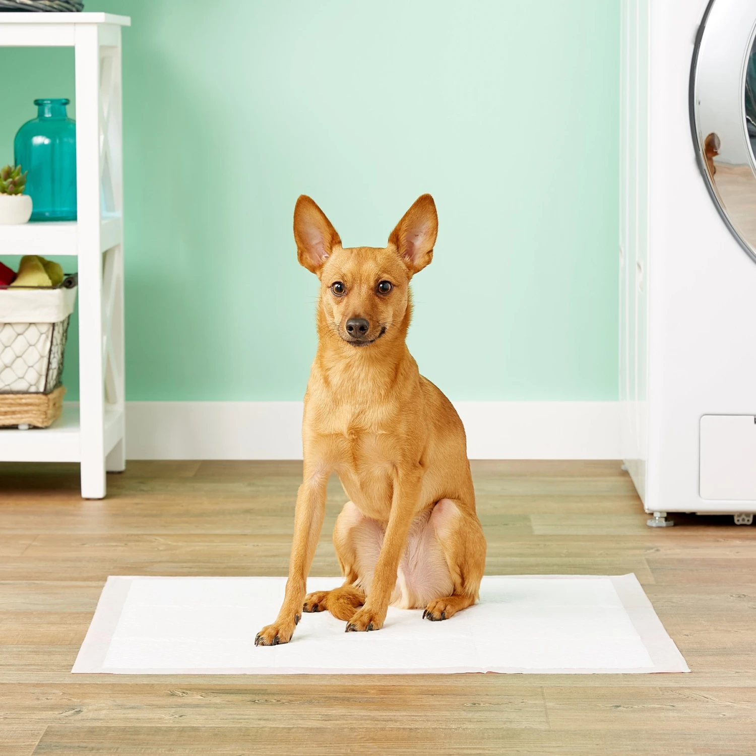 MidWest Dry Paws Training & Floor Protection Pads 4 MidWest Dry Paws Training & Floor Protection Pads - Image 2