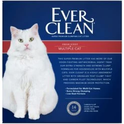 Ever Clean Multi-Cat Fresh Scented Clumping Clay Cat Litter -Trixie || Catit || Nature's Miracle Shop 75543 PT4. AC SS1800 V1556635066