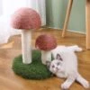 Lovely Caves Gardern Mushroom Cat Scratcher, Brown 1 Lovely Caves Gardern Mushroom Cat Scratcher, Brown -Trixie || Catit || Nature's Miracle Shop 760822 MAIN. AC SS1800 V1674853538