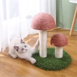 Lovely Caves Gardern Mushroom Cat Scratcher, Brown -Trixie || Catit || Nature's Miracle Shop 760822 PT2. AC SS1800 V1674852742
