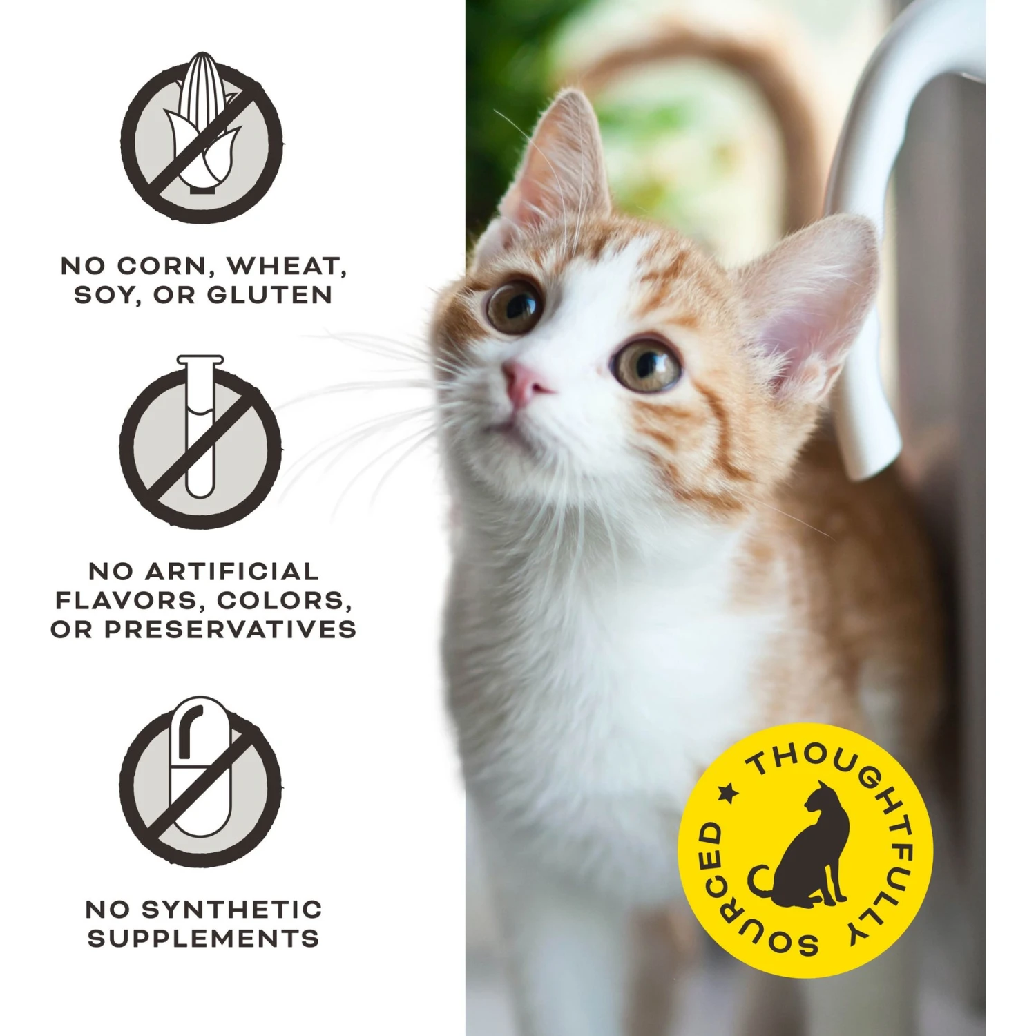 Primal Give Pieces A Chance Chicken With Broth Flavored Jerky Cat Treats 7 Primal Give Pieces A Chance Chicken With Broth Flavored Jerky Cat Treats - Image 5