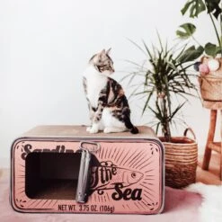 District 70 SARDINE Cardboard Cat Scratcher -Trixie || Catit || Nature's Miracle Shop 762078 PT5. AC SS1800 V1675868157