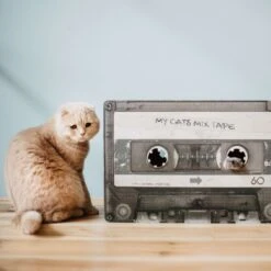 District 70 MIXTAPE Retro Cardboard Cat Scratcher, Large 15 District 70 MIXTAPE Retro Cardboard Cat Scratcher, Large -Trixie || Catit || Nature's Miracle Shop 762094 PT5. AC SS1800 V1675868213