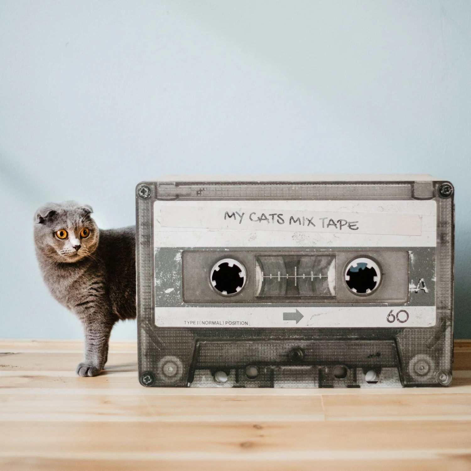 District 70 MIXTAPE Retro Cardboard Cat Scratcher, Large 9 District 70 MIXTAPE Retro Cardboard Cat Scratcher, Large - Image 7