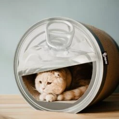 District 70 CAN Perfect Hiding Spot Funny Cat Scratcher, Grey 19 District 70 CAN Perfect Hiding Spot Funny Cat Scratcher, Grey -Trixie || Catit || Nature's Miracle Shop 762118 PT8. AC SS1800 V1675868155