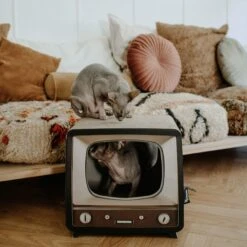 District 70 TELLY Retro Design Cat Scratcher, Brown -Trixie || Catit || Nature's Miracle Shop 762134 PT5. AC SS1800 V1675867320