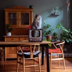 District 70 TELLY Retro Design Cat Scratcher, Brown -Trixie || Catit || Nature's Miracle Shop 762134 PT6. AC SS1800 V1675873759