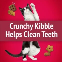 Friskies Party Mix Mixed Grill Crunch Flavor Crunchy Cat Treats 14 Friskies Party Mix Mixed Grill Crunch Flavor Crunchy Cat Treats -Trixie || Catit || Nature's Miracle Shop 76230 PT3. AC SS1800 V1695737509