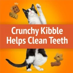 Friskies Party Mix Original Crunch Flavor Crunchy Cat Treats 14 Friskies Party Mix Original Crunch Flavor Crunchy Cat Treats -Trixie || Catit || Nature's Miracle Shop 76237 PT3. AC SS1800 V1695737572