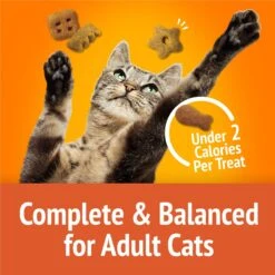 Friskies Party Mix Original Crunch Flavor Crunchy Cat Treats 16 Friskies Party Mix Original Crunch Flavor Crunchy Cat Treats -Trixie || Catit || Nature's Miracle Shop 76237 PT5. AC SS1800 V1695837704