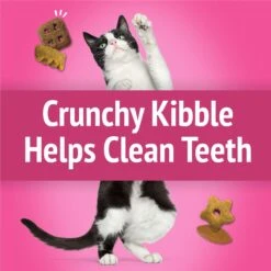 Friskies Party Mix California Crunch Flavor Crunchy Cat Treats -Trixie || Catit || Nature's Miracle Shop 76241 PT3. AC SS1800 V1695743591