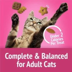 Friskies Party Mix California Crunch Flavor Crunchy Cat Treats -Trixie || Catit || Nature's Miracle Shop 76241 PT5. AC SS1800 V1695837704