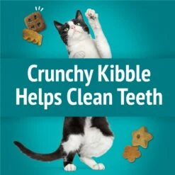 Friskies Party Mix Meow Luau Crunch Flavor Crunchy Cat Treats -Trixie || Catit || Nature's Miracle Shop 76249 PT3. AC SS1800 V1695736065