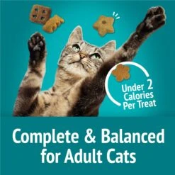 Friskies Party Mix Meow Luau Crunch Flavor Crunchy Cat Treats -Trixie || Catit || Nature's Miracle Shop 76249 PT5. AC SS1800 V1695845514