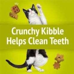 Friskies Party Mix Morning Munch Crunch Flavor Crunchy Cat Treats 14 Friskies Party Mix Morning Munch Crunch Flavor Crunchy Cat Treats -Trixie || Catit || Nature's Miracle Shop 76253 PT3. AC SS1800 V1695740292