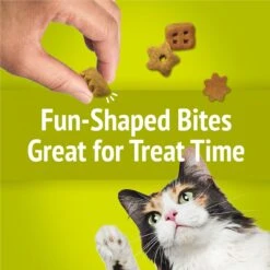 Friskies Party Mix Morning Munch Crunch Flavor Crunchy Cat Treats 18 Friskies Party Mix Morning Munch Crunch Flavor Crunchy Cat Treats -Trixie || Catit || Nature's Miracle Shop 76253 PT7. AC SS1800 V1695932538