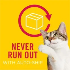 Friskies Party Mix Morning Munch Crunch Flavor Crunchy Cat Treats 19 Friskies Party Mix Morning Munch Crunch Flavor Crunchy Cat Treats -Trixie || Catit || Nature's Miracle Shop 76253 PT8. AC SS1800 V1695740181