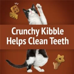 Friskies Party Mix Wild West Crunch Flavor Crunchy Cat Treats -Trixie || Catit || Nature's Miracle Shop 76259 PT3. AC SS1800 V1695743526