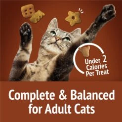 Friskies Party Mix Wild West Crunch Flavor Crunchy Cat Treats -Trixie || Catit || Nature's Miracle Shop 76259 PT5. AC SS1800 V1695837680