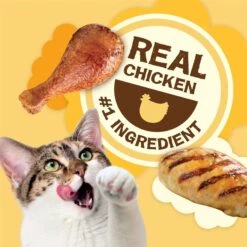 Friskies Party Mix Natural Yums With Real Chicken Flavor Crunchy Cat Treats -Trixie || Catit || Nature's Miracle Shop 76267 PT2. AC SS1800 V1695932893
