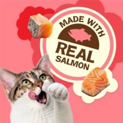 Friskies Party Mix Natural Yums With Real Salmon Cat Treats -Trixie || Catit || Nature's Miracle Shop 76269 PT2. AC SS1800 V1695845508