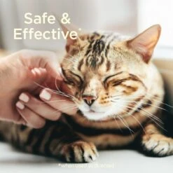 SimpleSource Flea & Tick Cat Shampoo -Trixie || Catit || Nature's Miracle Shop 770374 PT5. AC SS1800 V1678905680