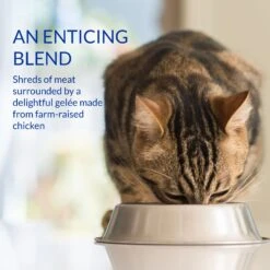 Inaba Churu Stew Chicken & Tuna Recipe Grain-Free Lickable Cat Treats -Trixie || Catit || Nature's Miracle Shop 774918 PT5. AC SS1800 V1680811389