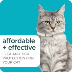Sergeant's Guardian Pro Flea & Tick Cat Collar -Trixie || Catit || Nature's Miracle Shop 775166 PT5. AC SS1800 V1678905708