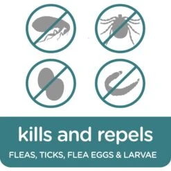 Sergeant's Guardian Pro Flea & Tick Cat Collar -Trixie || Catit || Nature's Miracle Shop 775166 PT6. AC SS1800 V1678905556