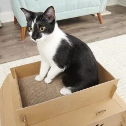 Carlson Pet Products Cat Camper & Scratcher 13 Carlson Pet Products Cat Camper & Scratcher -Trixie || Catit || Nature's Miracle Shop 778382 PT5. AC SS1800 V1676490270